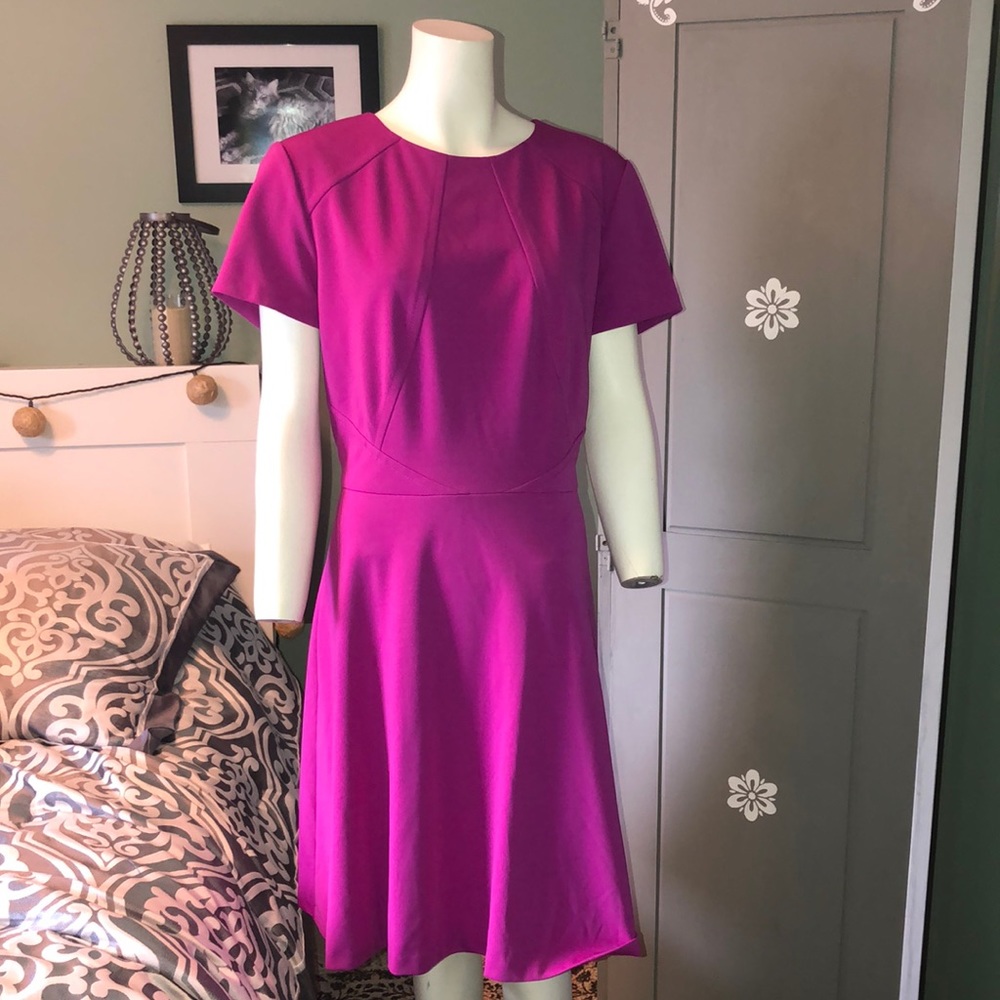 Tahari ALS Size 14 Hot Pink Fit and Flare Dress